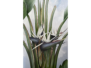 Giant Bird of Paradise by Sandra Blazel