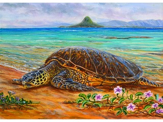 Happy Honu by Esperance Rakotonirina