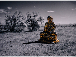 Wandering...Desert Buggha by Debra Casey