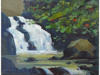 Nuuanu Falls by Spencer Chang