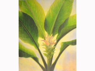 Tumeric by Mari Kuramochi