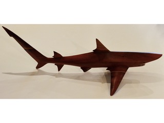 Shark Big Eye Thresher by Paul Fujimoto