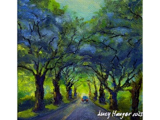 Monkeypod Tunnel by Lucy Haugen