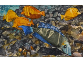 Exploring the Reef by Marilyn Wear