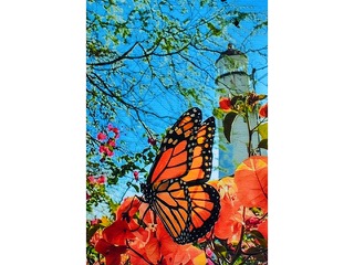 Monarch Diamond Head Lighthouse by Heather Lieurance