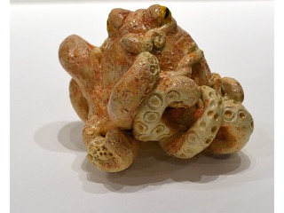 Octopus by Dawn Robinson