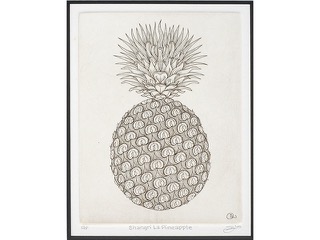 Pineapple by Jared Wickware