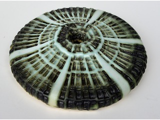 Mossy Wana by Christopher Edwards