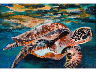 Honu by Lindy Colpo