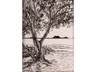 Kailua Bay by Lindy Colpo