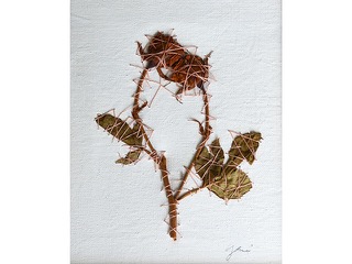 Pair by Gordon Sasaki