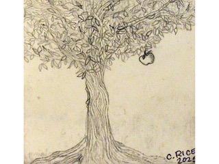 The Giving Tree by C Rice