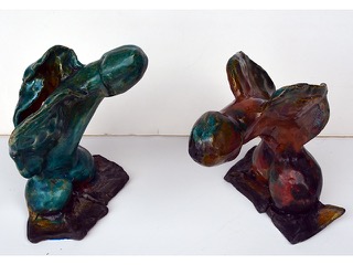 Duck Dicks  by Emillia Noordhoek