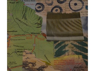 A Slice of Aloha 6 by George Evan Davis