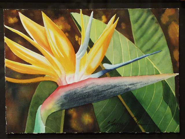 Bird Of Paradise by Garry Palm