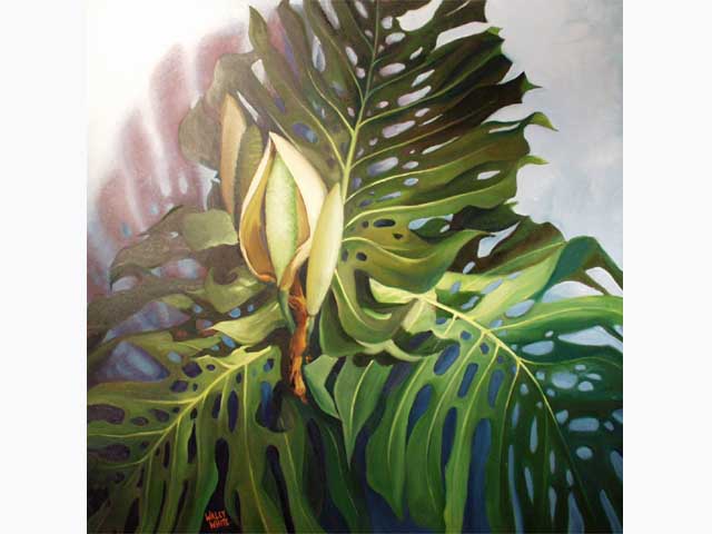 Madonna Monstera by Wally White (1933-2018)