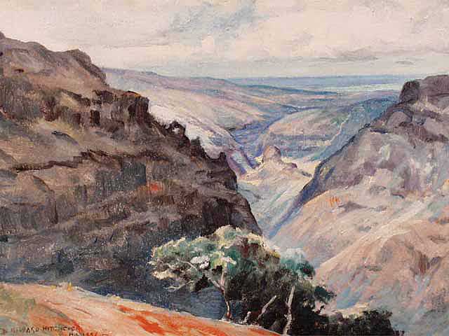 Waimea Canyon by D. Howard Hitchcock (1861-1943)