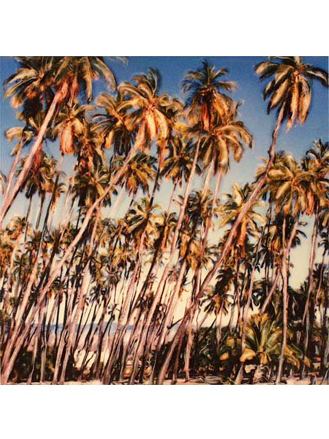 Molokai Palm Grove by Marcia Duff