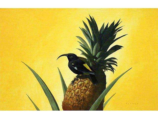 Mamo & Pineapple by Michael Furuya