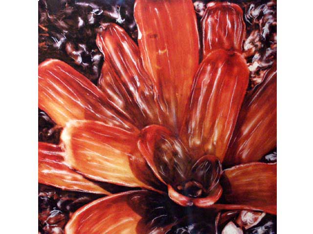 Molokai Orange Bromeliad by Marcia Duff