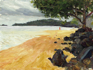 Anini Beach, Kauai by Fred  Salmon