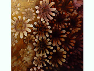 Digitalook II by Carol Bennett