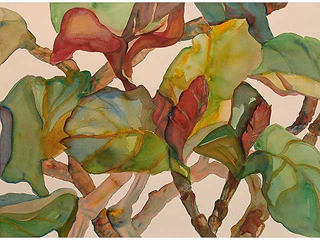 Ohana by Anne Irons