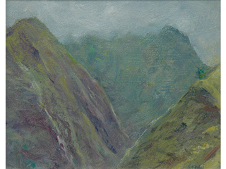 Iao Valley by Fred  Salmon
