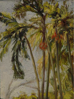 Foster Gardens Palms by Sharon Sussman