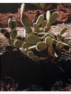 Cactus by Norman Graffam Jr.