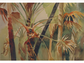 Palms in Foster Gardens by Steve Bettman
