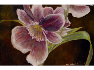 Purple Orchids by Mark Kadota