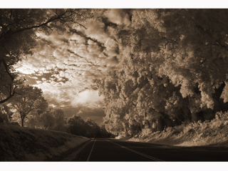 Ethereal Highway by Joan  Cooke