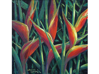 Crab Claw Heliconia by Louisa S. Cooper