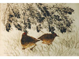 Fallen Birds by Louis Pohl (1915-1999)