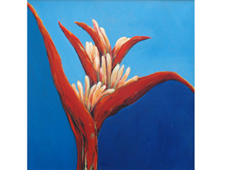 Heliconia #9 by Suzanne Betz