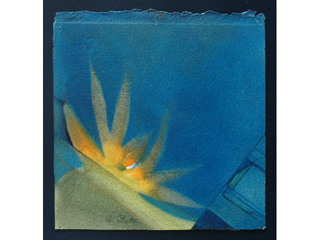 Tropicals #2 by Suzanne Betz