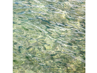 Waikiki 1 by Dana  Forsberg