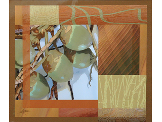 Coconut Montage I by Laurie McKeon