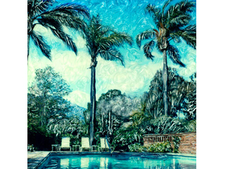 Palm & Pools by Marcia Duff