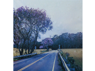 Hula Highway by Marcia Duff