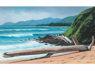 Kauai Driftwood: Deserted Beach  by Patrick Doell