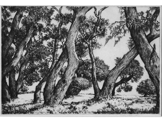 Live Oak Trunks by Alfred Ray Burrell (1877-1952)