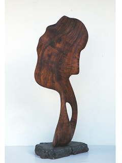 Flow by Jerry Vasconcellos (View 2)