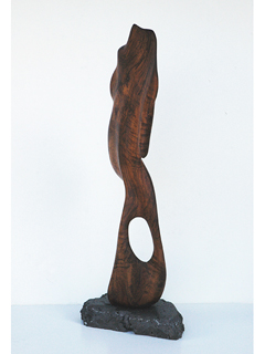 Flow by Jerry Vasconcellos (View 3)