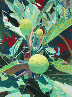 Trio Of Breadfruit by Fabienne Blanc