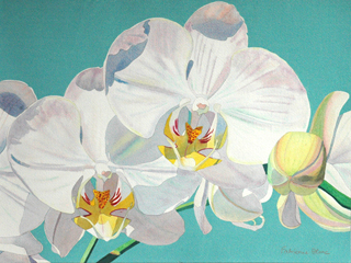 White Orchids, Yellow hearts by Fabienne Blanc