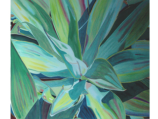 Agave Plant by Fabienne Blanc