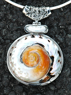 Swirl Shell Necklace by Russell  Lowrey's Doges Treasures