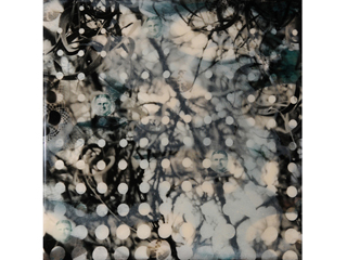 Kipuka,(Overstory & Invasives) by Sally Lundburg